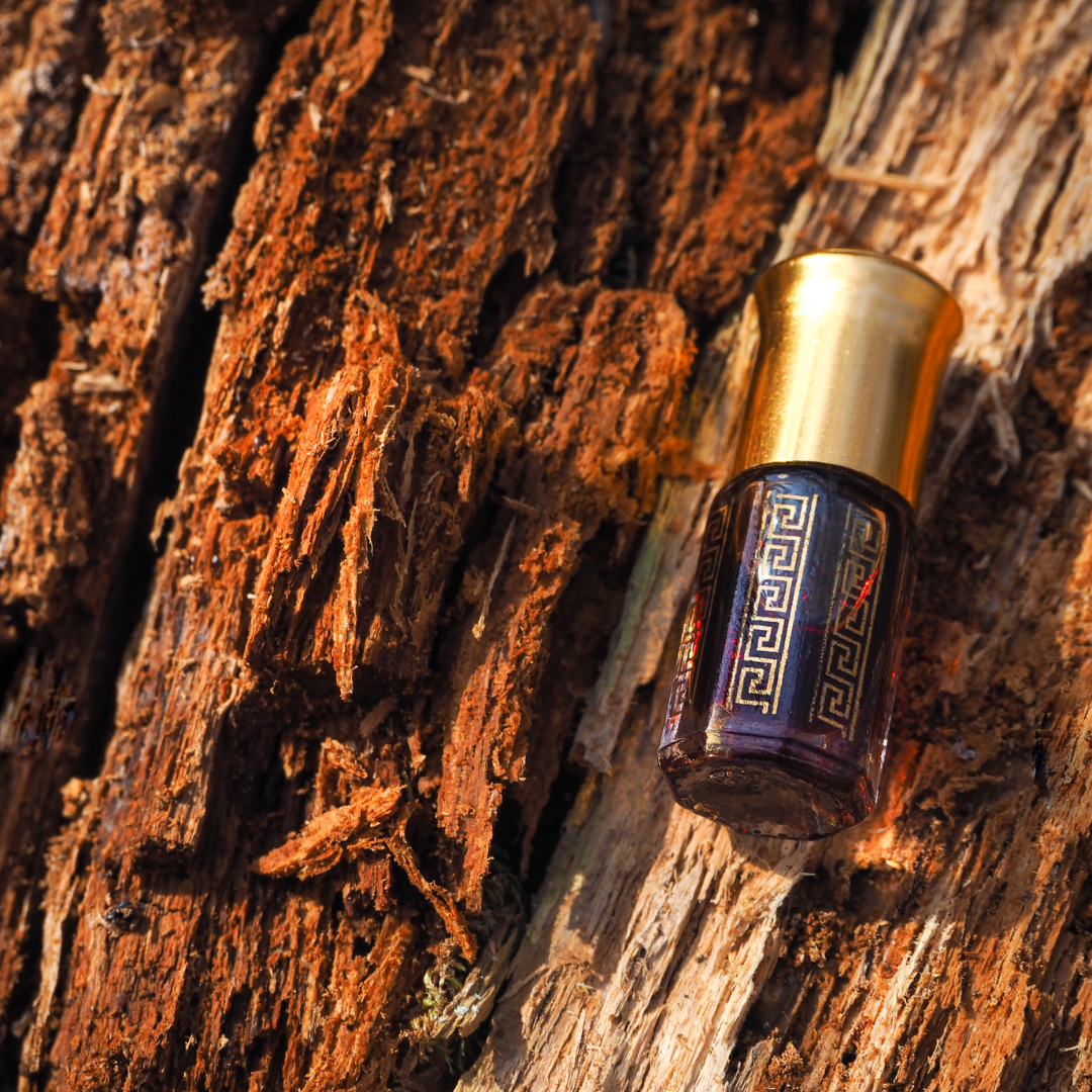 Bakhour Oudh Fragrance FO67