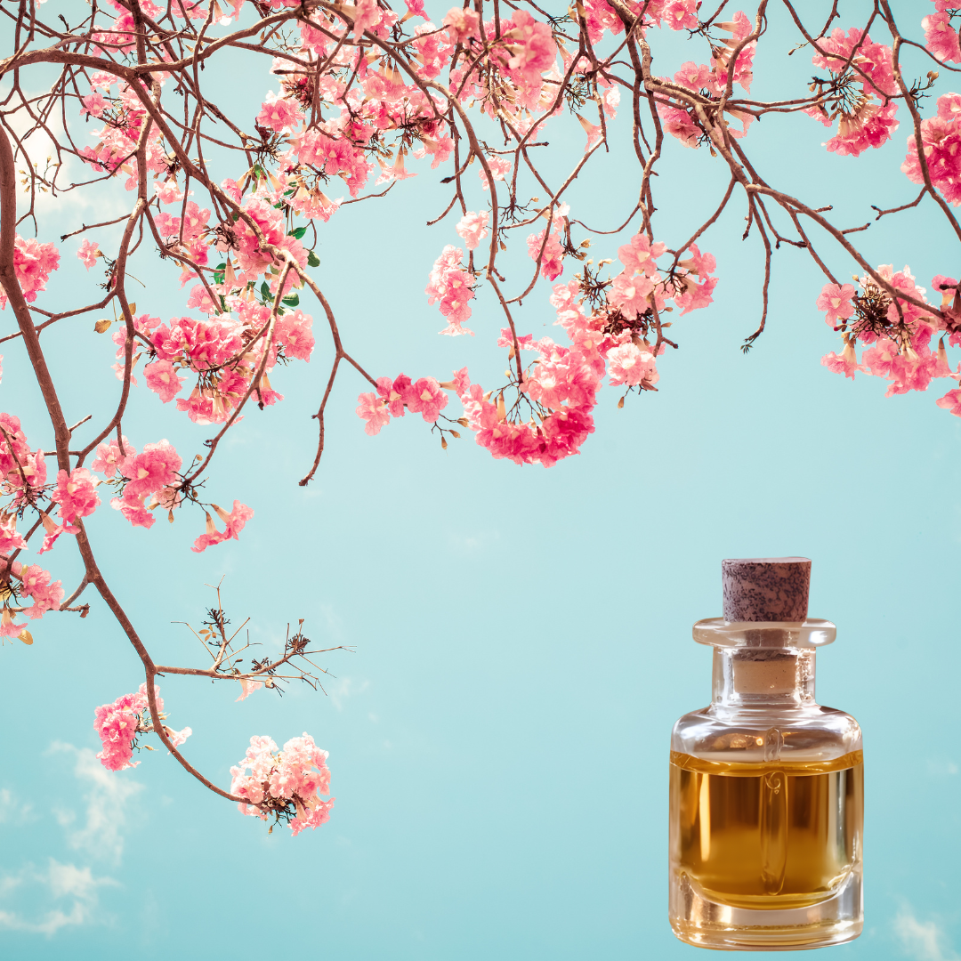 Cherry Blossom Fragrance FO54