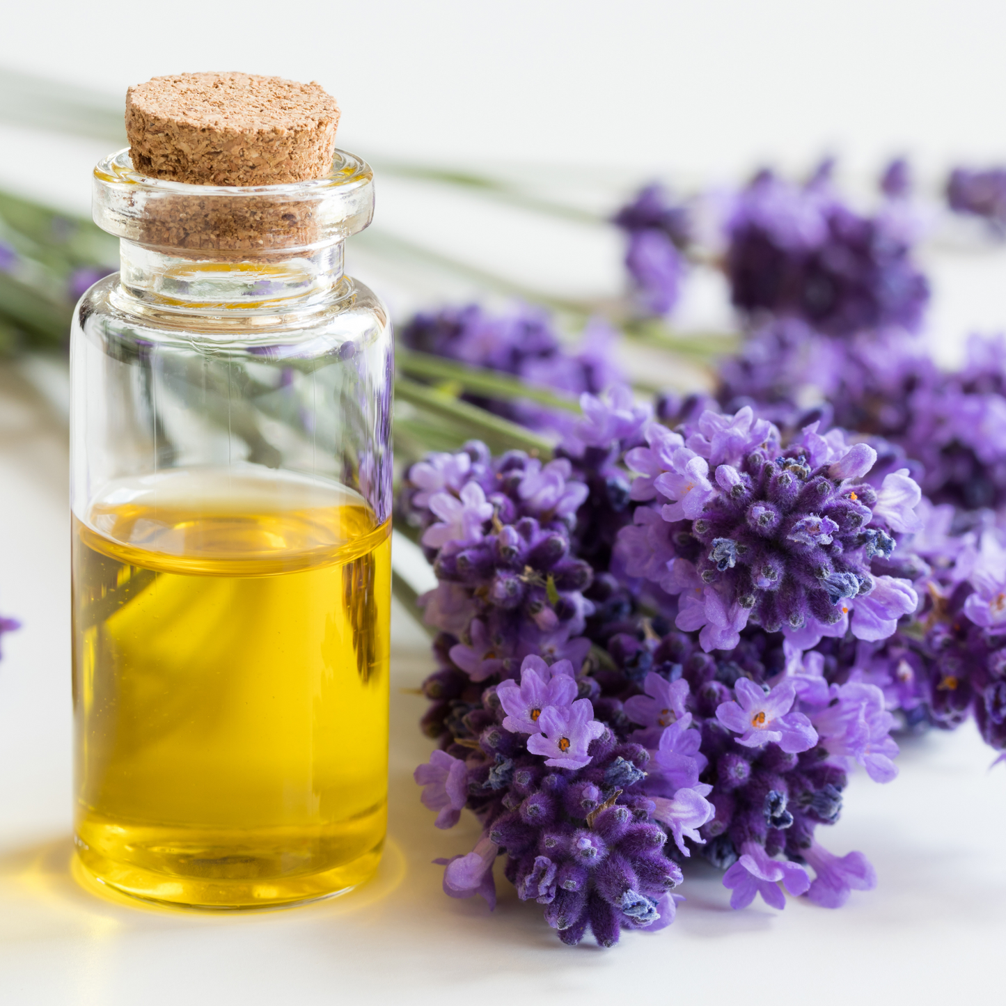 Lavender Fragrance - FO15