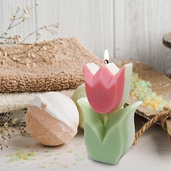 Tulip Flower Pot Mould CM302