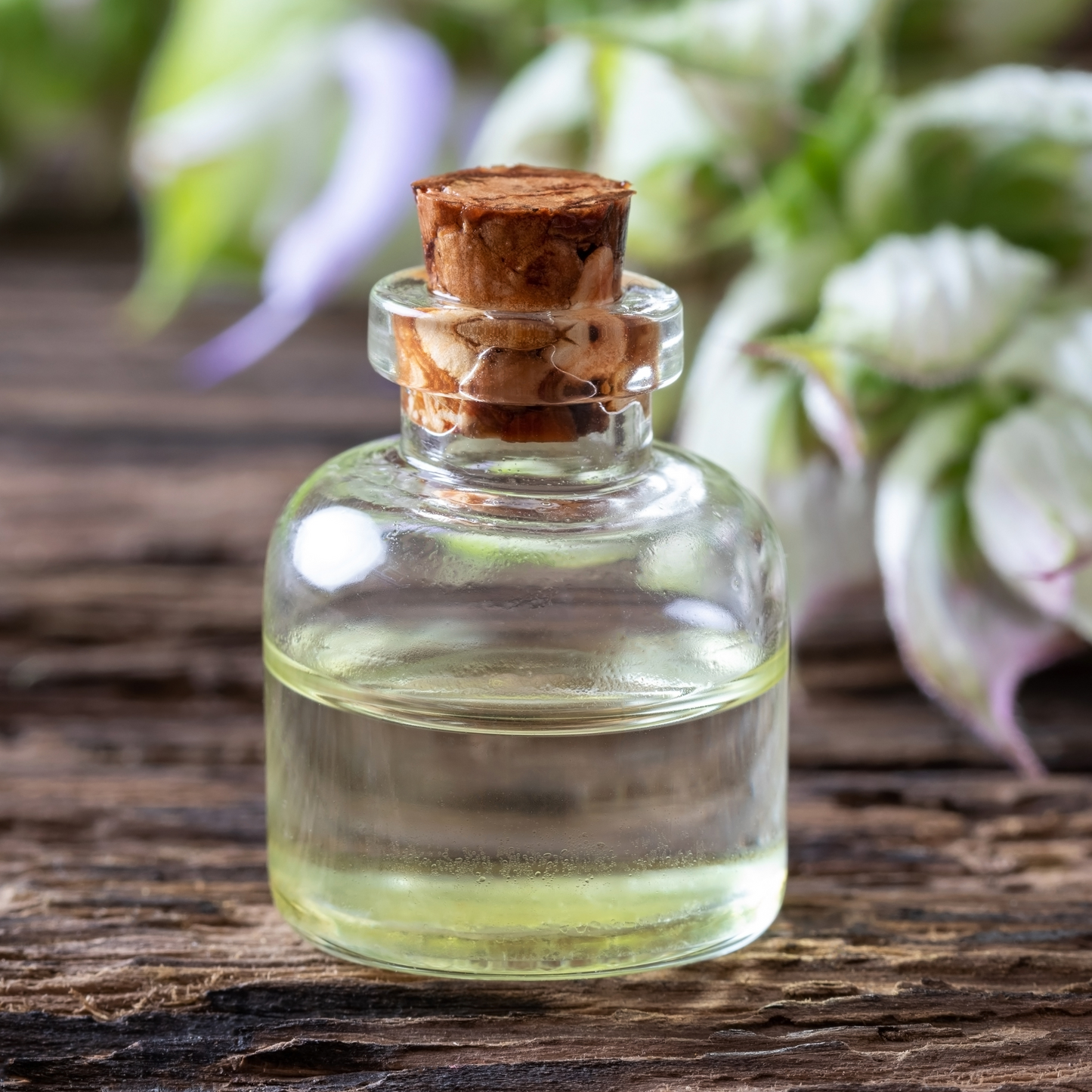 Jasmine Fragrance - FO24