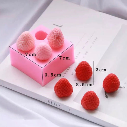 Strawberry Mould CM07
