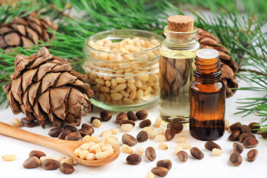 Cedar-Wood Fragrance FO61