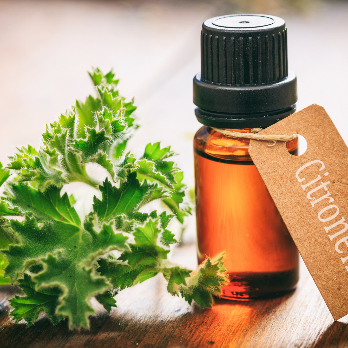 Citronella Fragrance - FO17