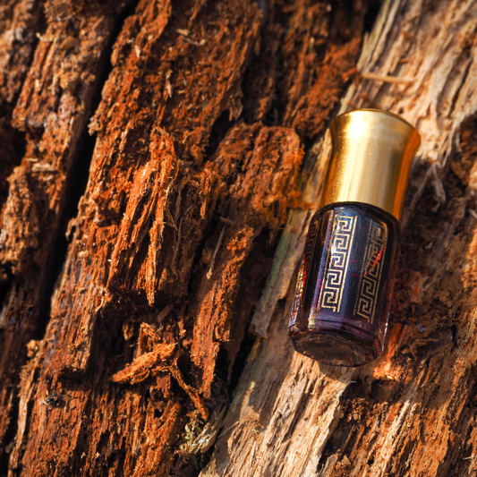 Bakhour Oudh Fragrance FO67