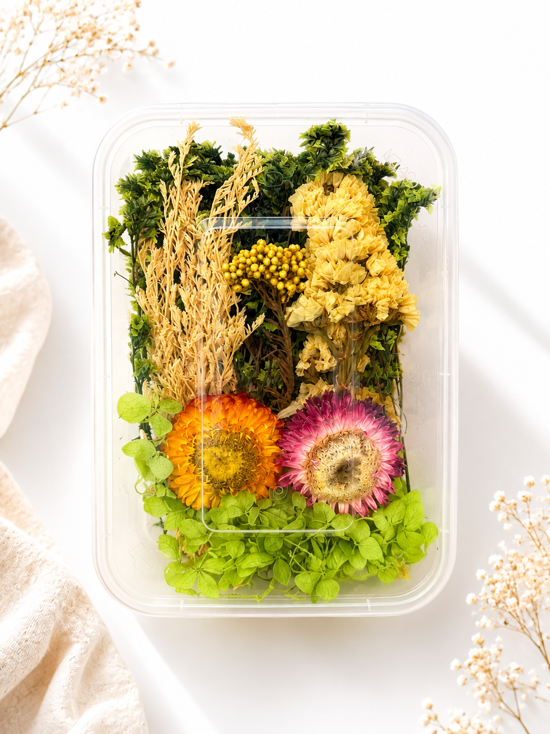 Dried Flower Box (Random) | DM66