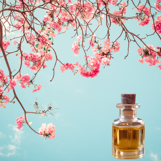 Cherry Blossom Fragrance FO54