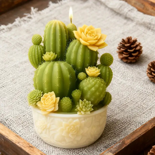 3D Cactus and Succulent Potted Mould CM610