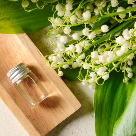 Eucalyptus Fragrance FO30