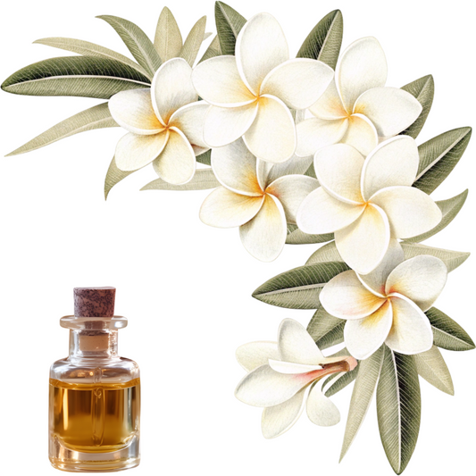 Frangipani Fragrance FO74