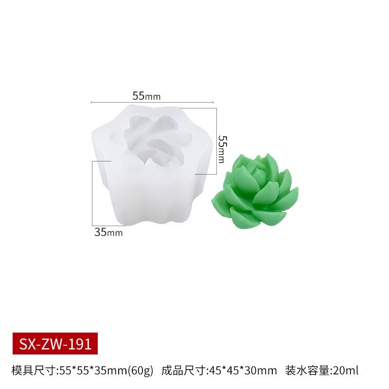 Succulent Mould CM605