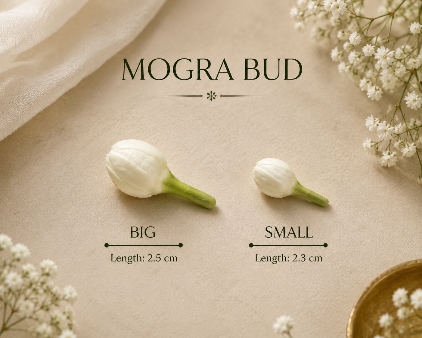 Mogra Buds Mould