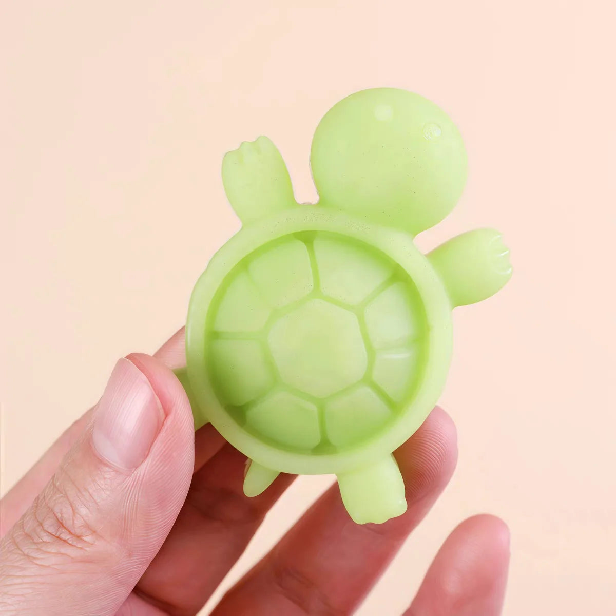Turtle Mould 6 Cavity CM688
