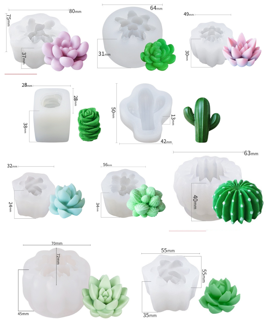 Big Cactus and Succulent Set of 10 Mould CM528