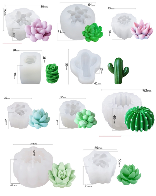 Big Cactus and Succulent Set of 10 Mould CM528