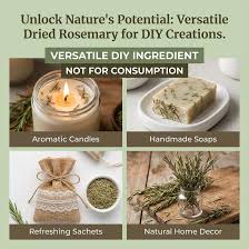 Rosemary Leaves Dried 25 grams SD13