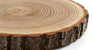 Wooden Raw Slice Plate