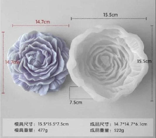 Large Peony CM98
