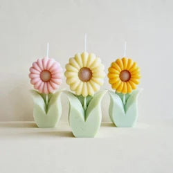 Daisy Flower Pot Mould CM310